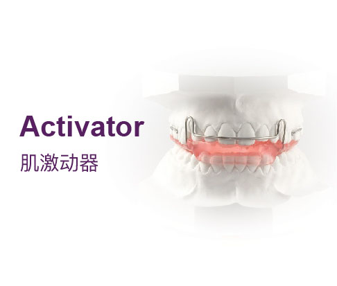 肌激动器（Activator）